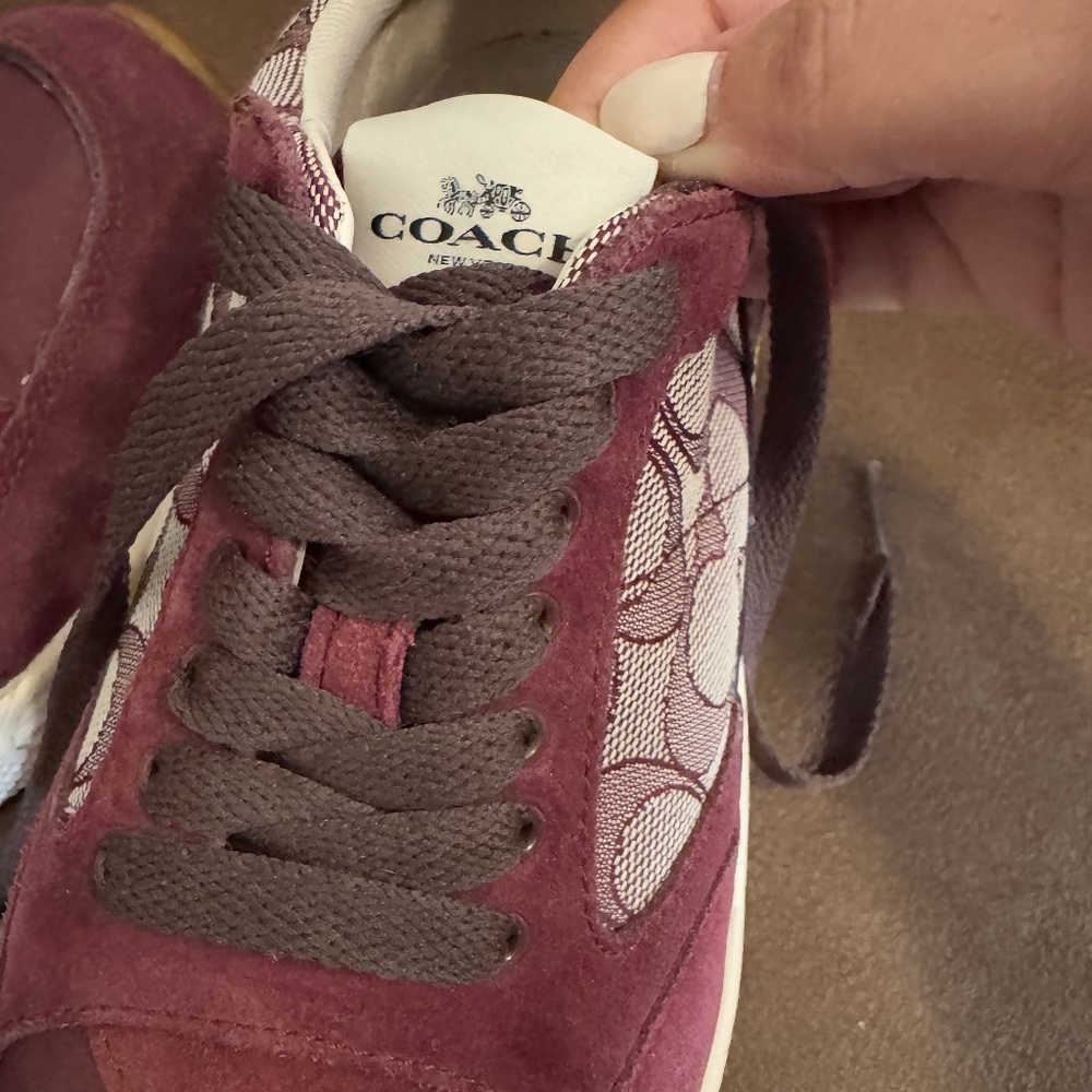 Coach sneakers